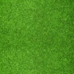 6289333-beautiful-green-grass-texture-from-golf-course.jpg